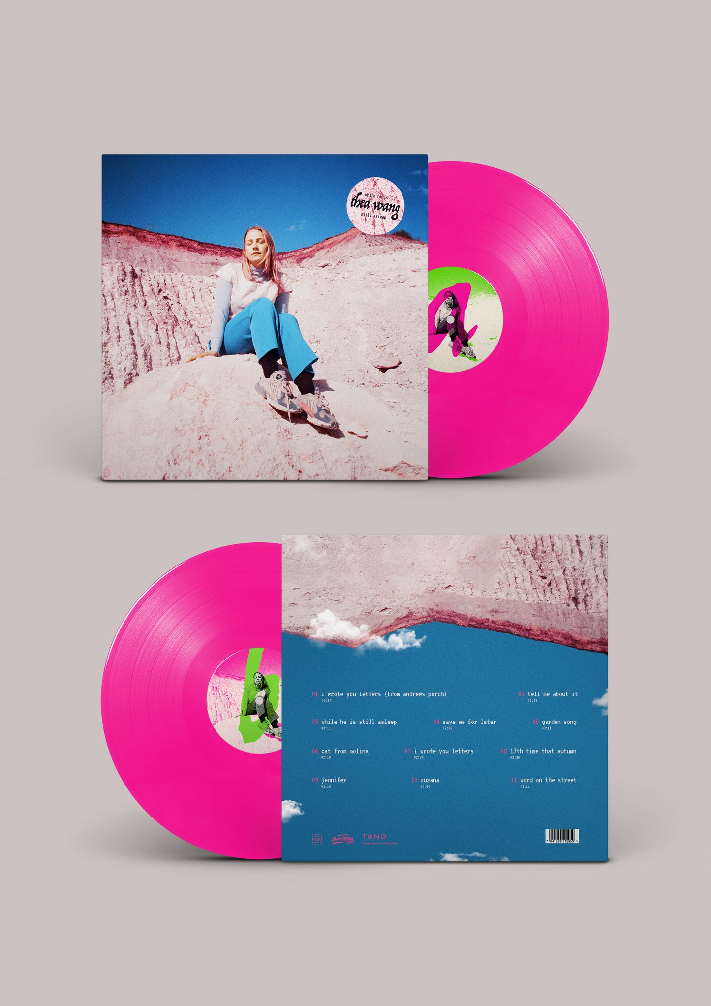 'While he is still asleep' Vinyl LP - thea wang